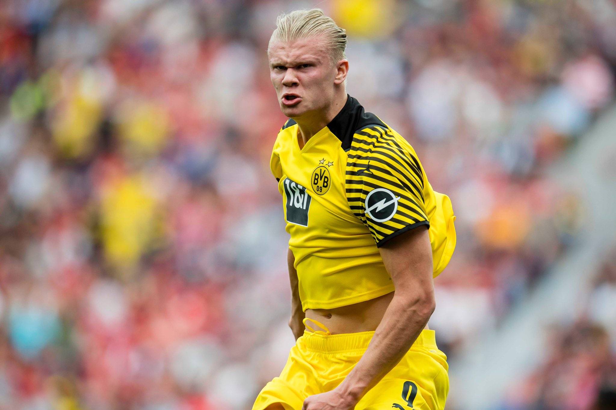 微型案例分 微型案例分